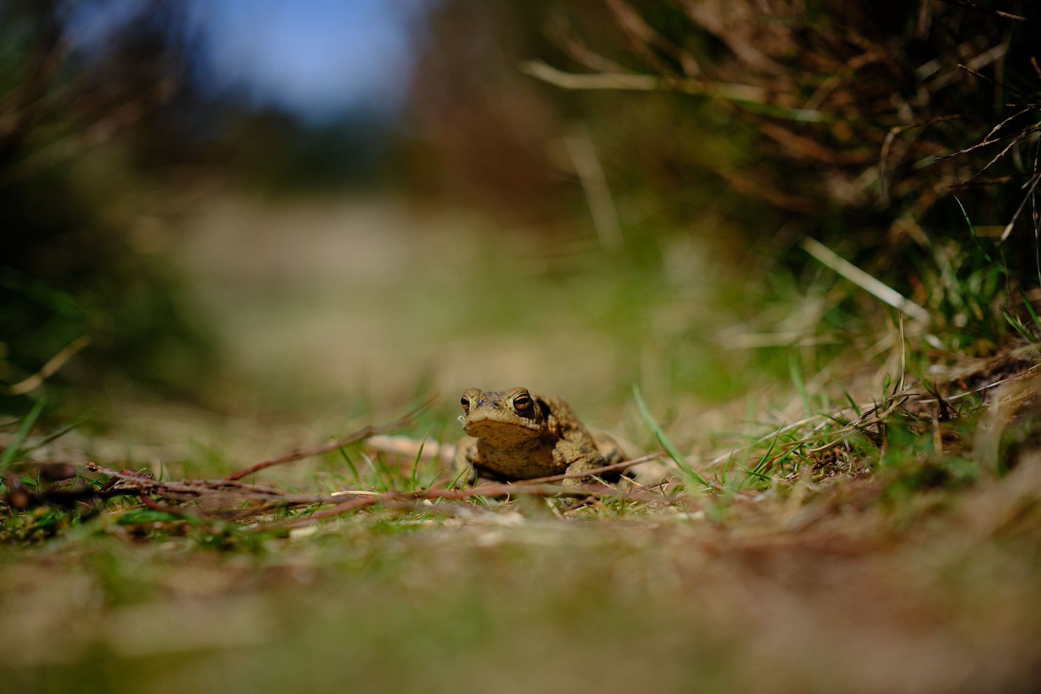 2025 05 14  xt 5   2210